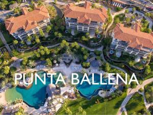 Punta Ballena