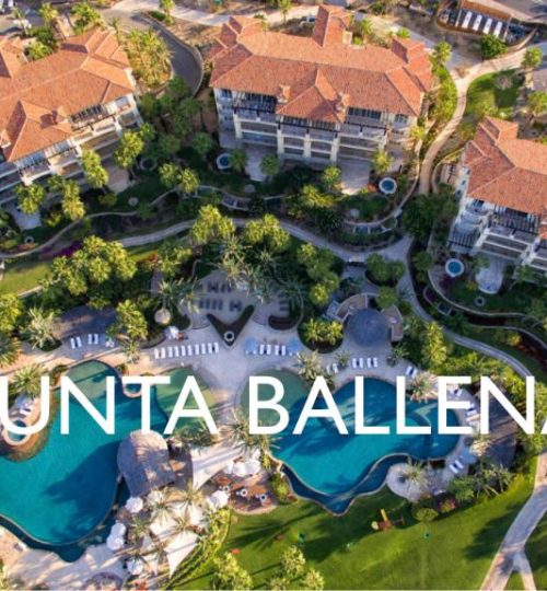 Punta Ballena