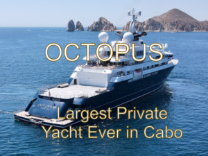 octopus super yacht cabo