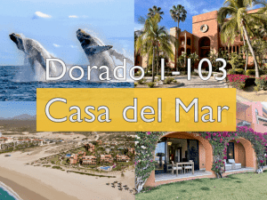 cabo san lucas real estate