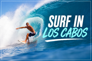Surfer riding a wave at Costa Azul during peak swell season, showing why surfers keep coming back to Los Cabos