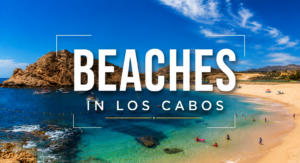 Aerial view of a public beach in Los Cabos with cliffside residences, showing that all beaches in Los Cabos are public under Mexican law