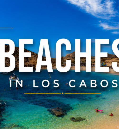 Aerial view of a public beach in Los Cabos with cliffside residences, showing that all beaches in Los Cabos are public under Mexican law