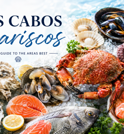Colorful mariscos dish with fresh seafood and traditional Mexican presentation at Los Cabos restaurant