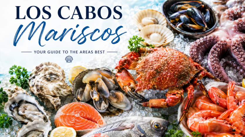 Colorful mariscos dish with fresh seafood and traditional Mexican presentation at Los Cabos restaurant