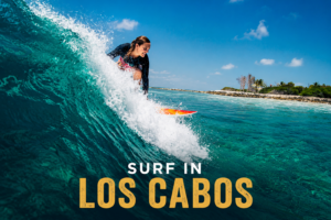 Surfer riding a wave at Zippers break in Los Cabos, capturing the spirit of surf Los Cabos, the breaks, the legends, the life