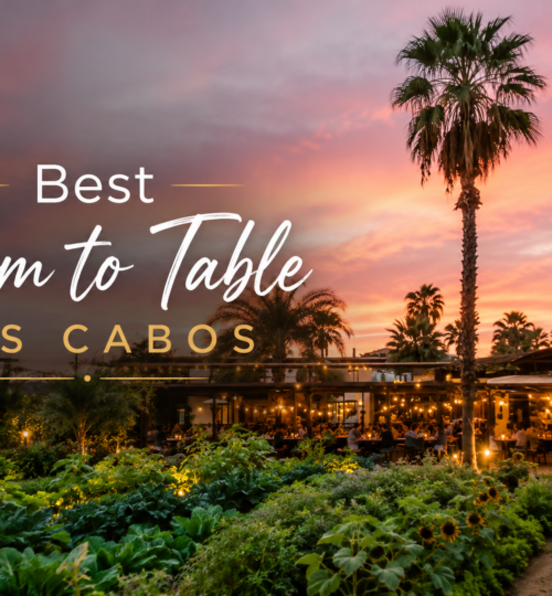 Outdoor garden dining table at Flora Farms in San José del Cabo, one of the best farm to table restaurants in Los Cabos
