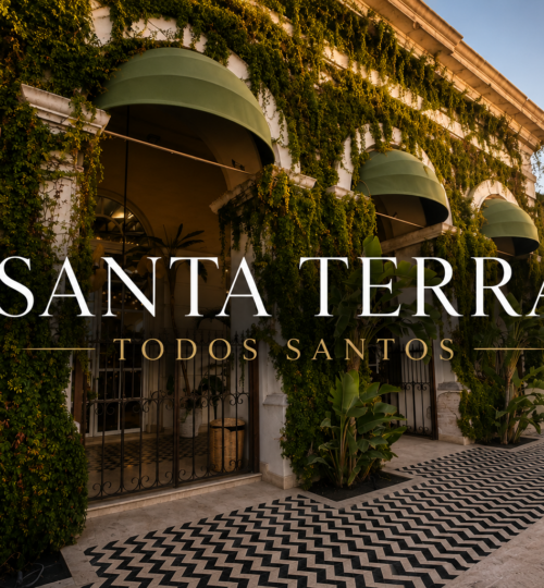 Restored historic brick buildings and open air garden at Santa Terra Todos Santos showing the cultural oasis blend of Oystera restaurant, Vino Park, and sugar era museum