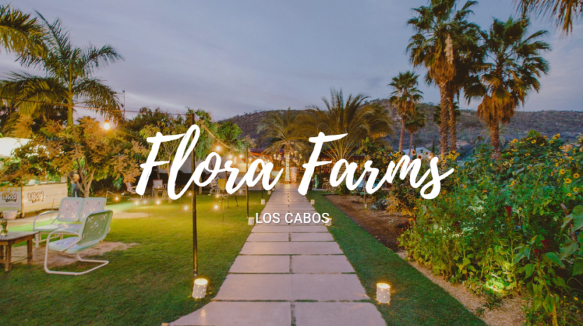 Outdoor dining table surrounded by organic gardens and mango trees at Flora Farms Los Cabos representing the twenty-year story of how dead sand became a Michelin Green Star farm destination and sought-after real estate in San José del Cabo